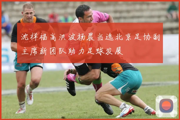 沈祥福高洪波杨晨当选北京足协副主席新团队助力足球发展